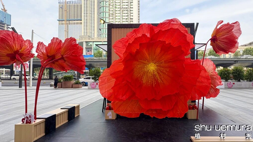 多宝电竞|体育官方网站